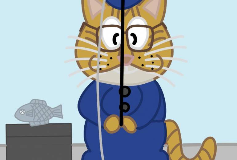 猫が海で魚釣りをしている所