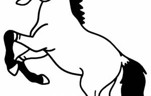 モウコノウマ - シマハイエナ 