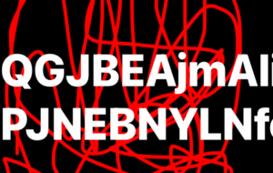 アール・ブリュット挑戦 - 笹谷正博