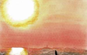 太陽とねこ - 赤﨑ゆみ子 