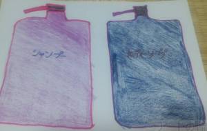 クリアパープルやクリアピーコックブルーのポンプが欲しいな - 椛澤敏光 