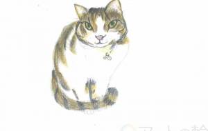 目つきが悪いのにかわいい - 小萩 