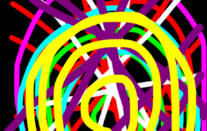 アール・ブリュット挑戦 - 笹谷正博