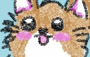 まんまる - 水樹 