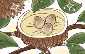 毬の中の卵 - はなもも 