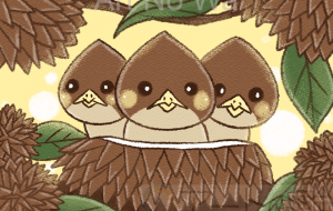 栗みたいな雛たち - はなもも 