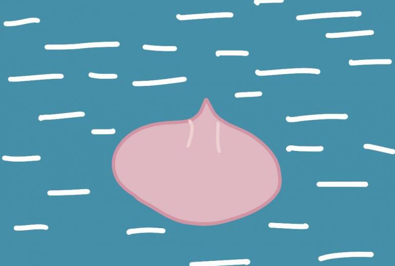 川に桃が流れている所