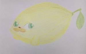 レモンアザラシ - KeN@ 