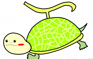 メロンカメ - KeN@ 