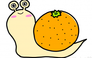 みかんかたつむり - KeN@ 