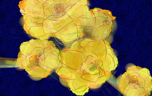 慈愛 - かずもがな 