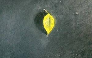 枯れ葉（アートを考えた） - 真鍋哲地 