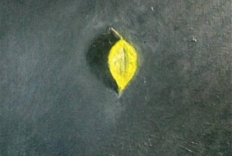 枯れ葉（アートを考えた）