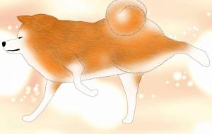 けりけり!(秋田犬・赤毛) - 華凪