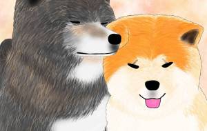 なかよし（秋田犬・虎毛、秋田犬・赤毛） - 華凪 