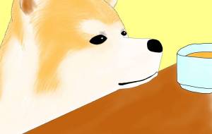 僕にもください。(秋田犬・赤毛) - 華凪