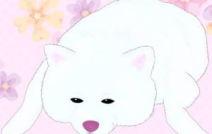 ぺしょん。（秋田犬・白毛） - 華凪 