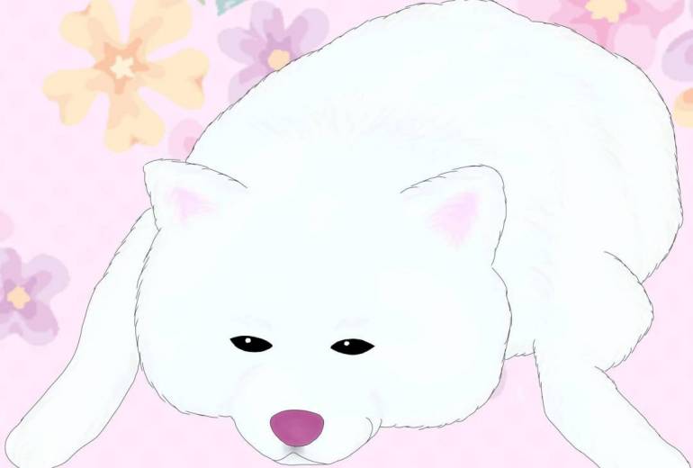 ぺしょん。（秋田犬・白毛）