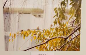 冬が来る - 松川永遠 