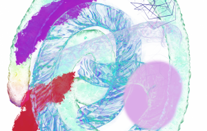 ダイヤ　アンモナイト - 【イベント】Challenged Artist Project【2025】 