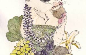 アロハモモンガ - 桜井忍