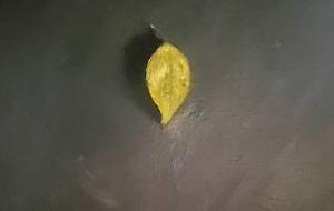 枯れ葉（母さんの命）思い出の笑顔が溢れる - 真鍋哲地 