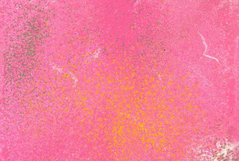 クラブ　春の息吹