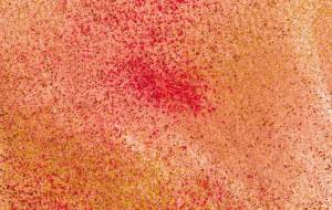 ハート　錦秋 - 【イベント】Challenged Artist Project【2025】 