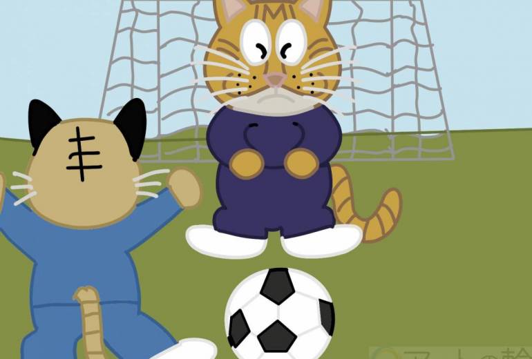アニマルサッカー