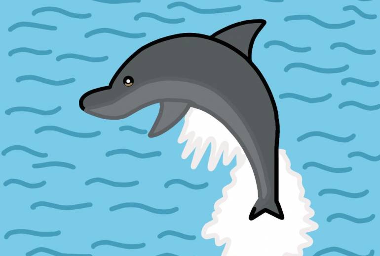 海に泳いでいるイルカ