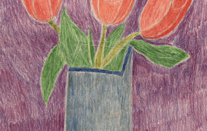 赤いチューリップ - MITIKO 