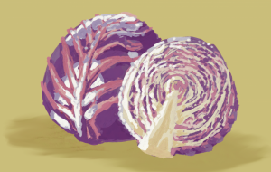 赤キャベツ - Hagane