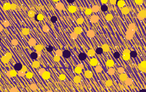 ダイヤ　輝く夜 - 【イベント】Challenged Artist Project【2025】 