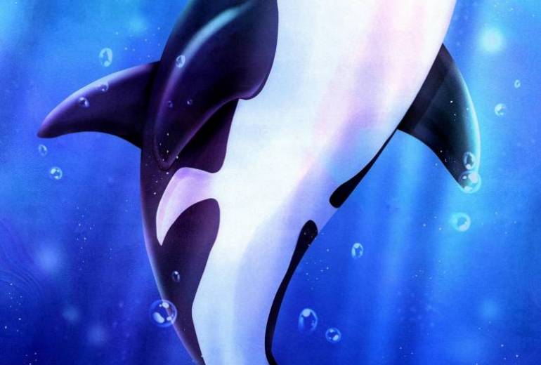 ダイヤ 輝きに向かう神のクジラ