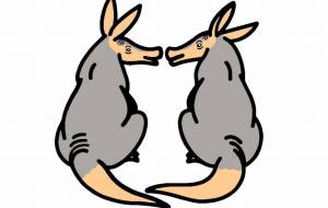 ツチブタ - シマハイエナ