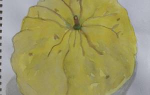 ししゆず - GENTIL 