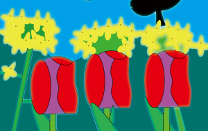 クラブ　自然の恵み - 【イベント】Challenged Artist Project【2025】 