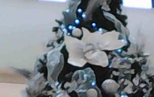 福井のクリスマスツリー - 社畜女子はトラジェンになりたい 