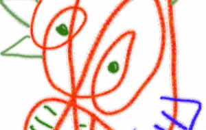 いかグルメ - hakaalash 