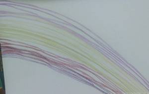 ストレス中 - 椛澤敏光 