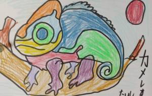 カメレオン - たいちゃん 