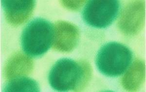 クラブ　緑園 - 【イベント】Challenged Artist Project【2025】 