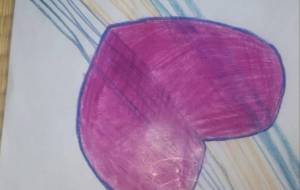 明るい愛情 - 椛澤敏光 