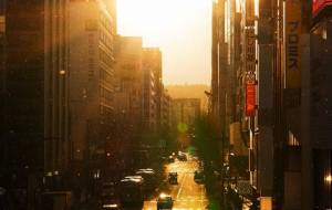 染まる帰路 - さくら 