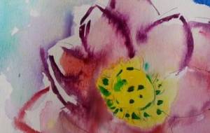 蓮のmelody - サオリ 