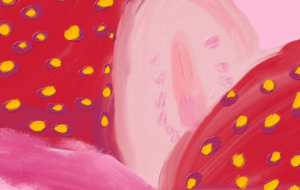 つぶつぶ苺 - ましゅまろまかろん