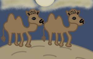 月と砂漠 - アクター 