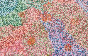 蜜柑の山 - YO!HEY! 