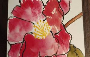 サザンカ - 菅井良翔