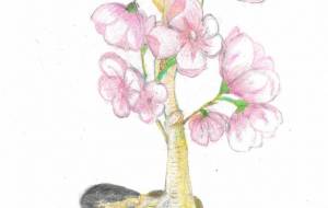 クラブ　桜 - 【イベント】Challenged Artist Project【2025】 